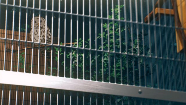 Owl at Nogeyama Zoo